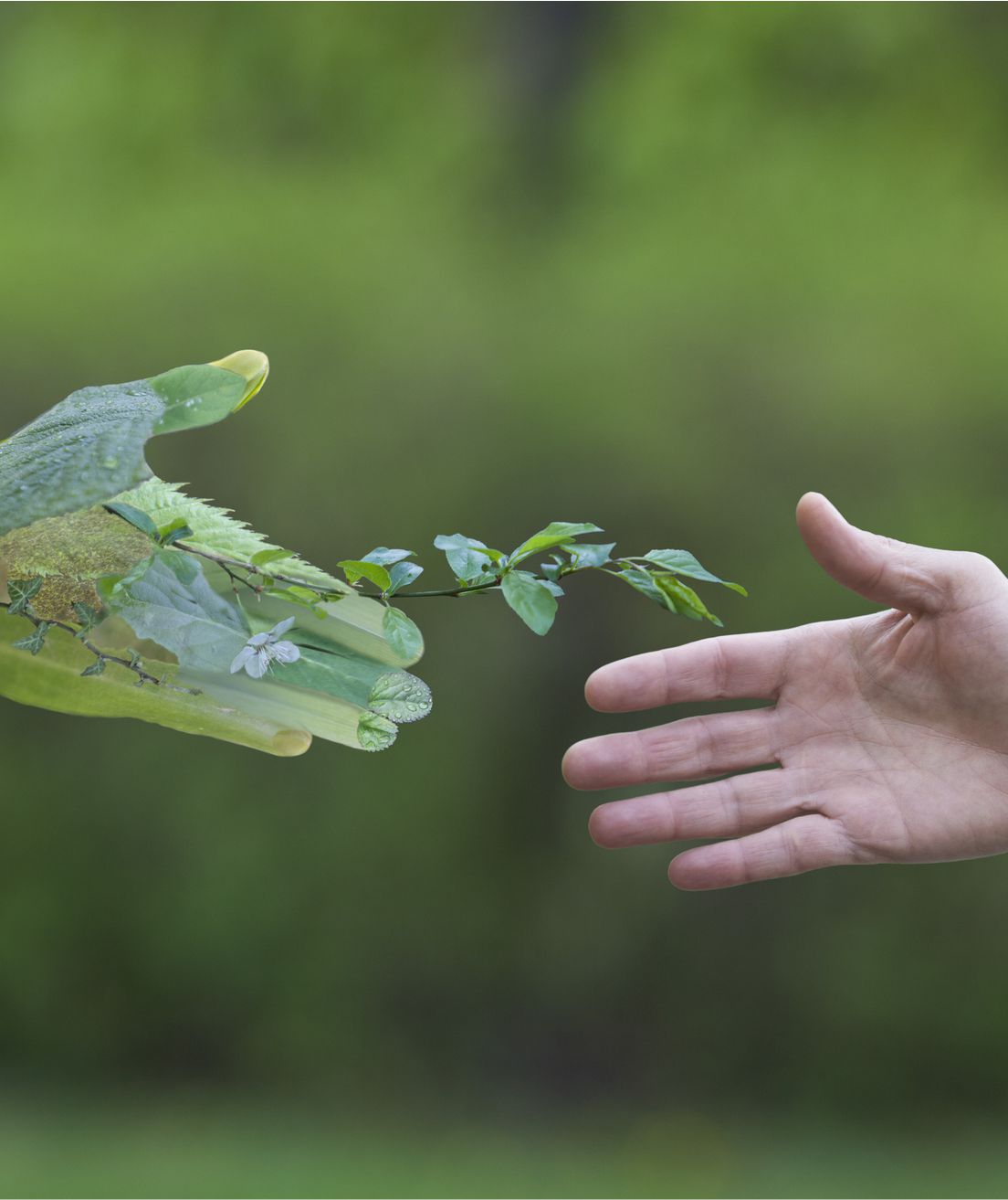 medio ambiente economía medio ambiente economía